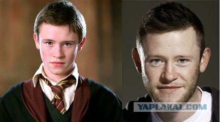 "Гарри Поттер и философский камень". Как изменились актёры за 15 лет