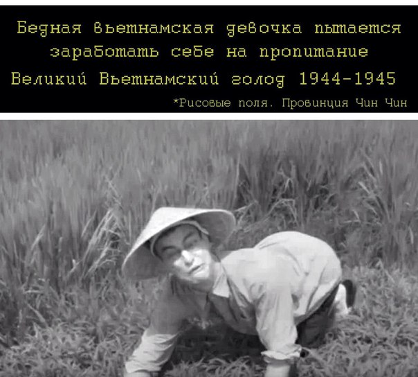 Правдивые факты, о которых мы не знали