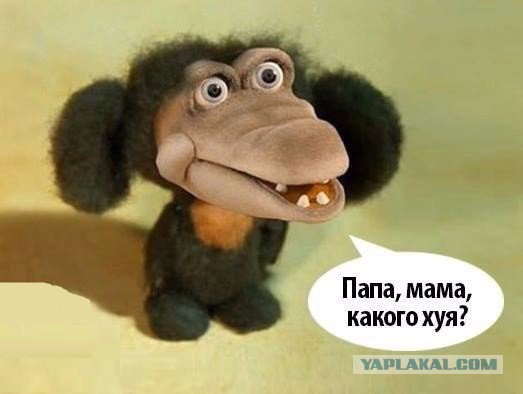 Неважнецкий план...