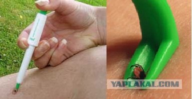 Жопа... клещ...