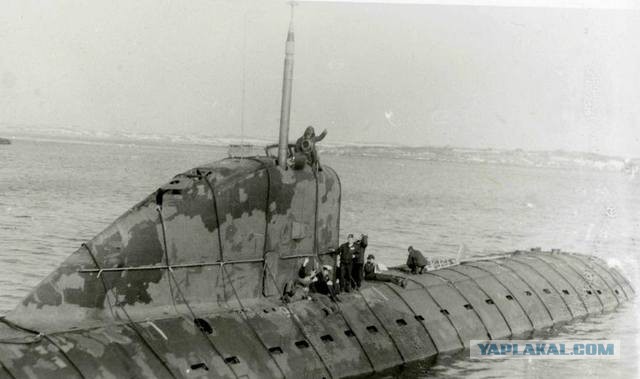 Военно-морские байки. Факторы, влияющие на либидо корабельных крыс