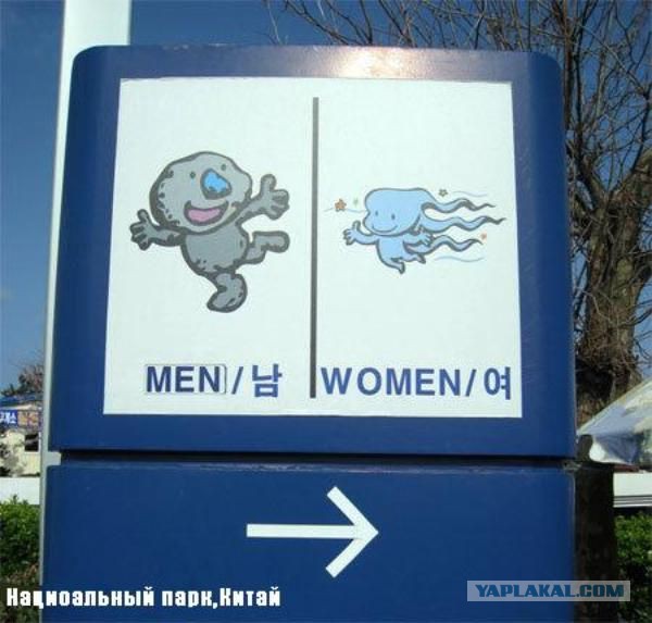 Прикольные туалетные таблички