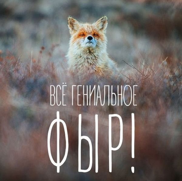 Прикольные картинки обо всём