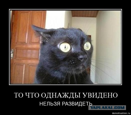 А ведь и правда, некрасивых женщин не бывает. Бывает мало ...