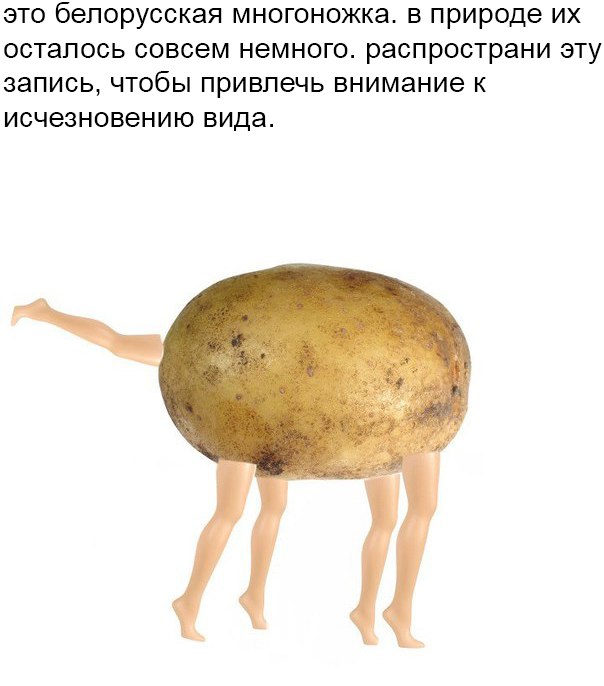 А вот и деградация подоспела. Ура, товарищи!