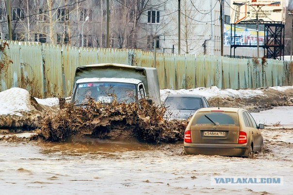 Ловушка для крузака