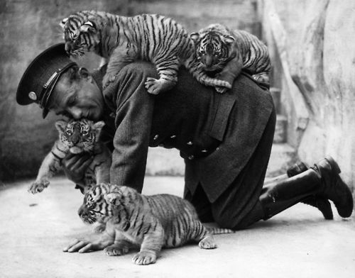 Преданья старины глубокой. Интересные фотографии аналоговой эры.