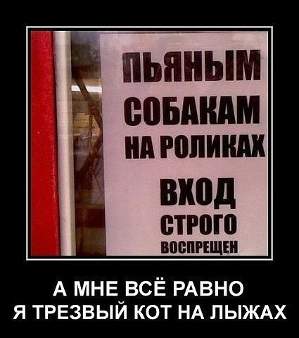 Нестандартный юмор