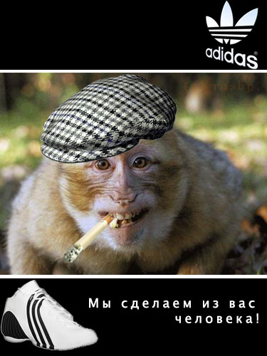 Adidas - мы сделаем из вас человека