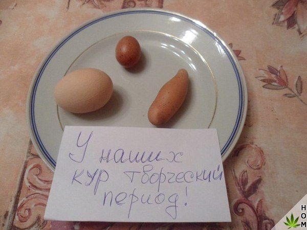 Прикольные надписи и объявления