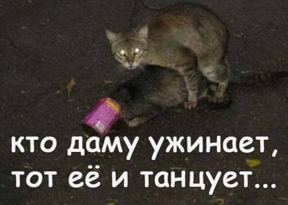 Я похоже нашёл девушку своей мечты...
