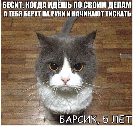 Немного картинок для настроения