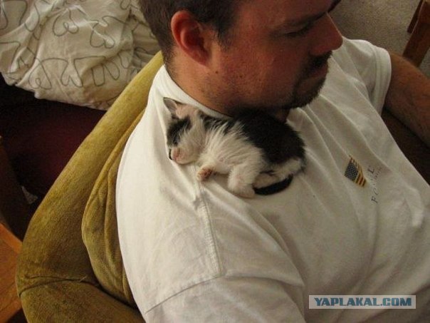 Находка на заднем дворе