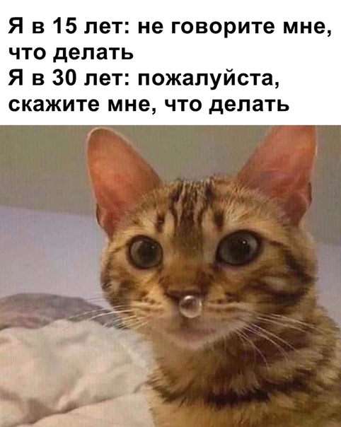 Картинки с надписями, истории и анекдоты