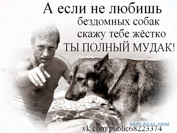 Почему люди не любят зоо(защитников)шизу?