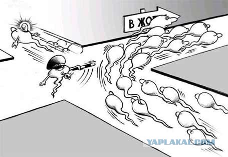 Чуть не столкнулись два судна в море