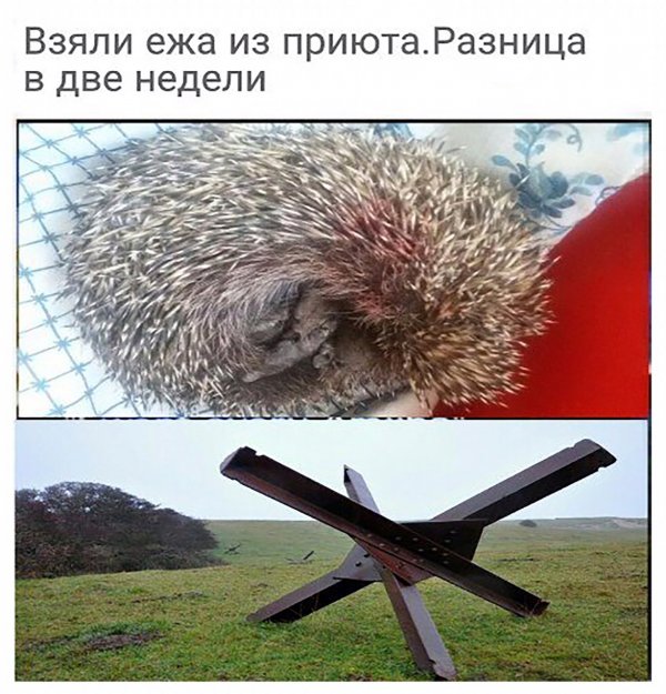 Приколы в стиле "регресс"