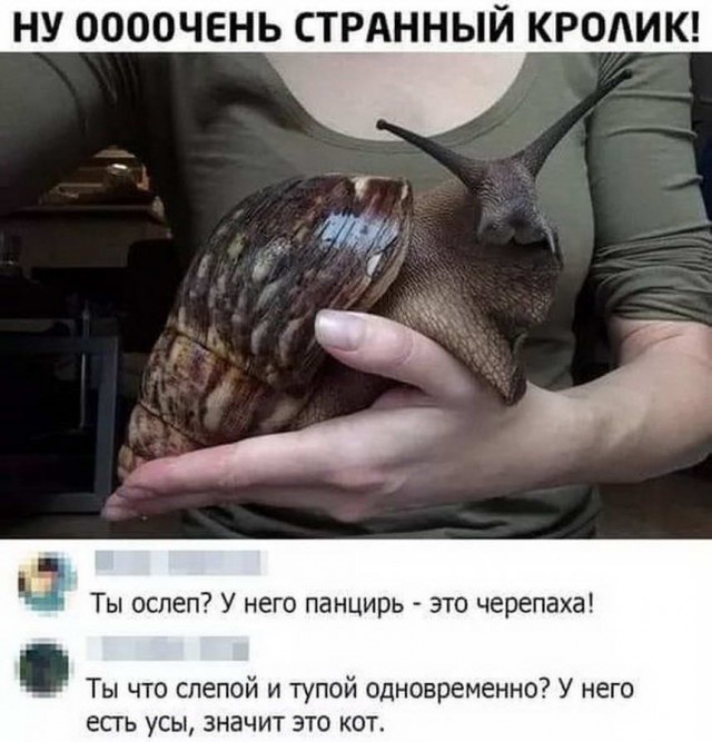 Бредзона 25.05.2020