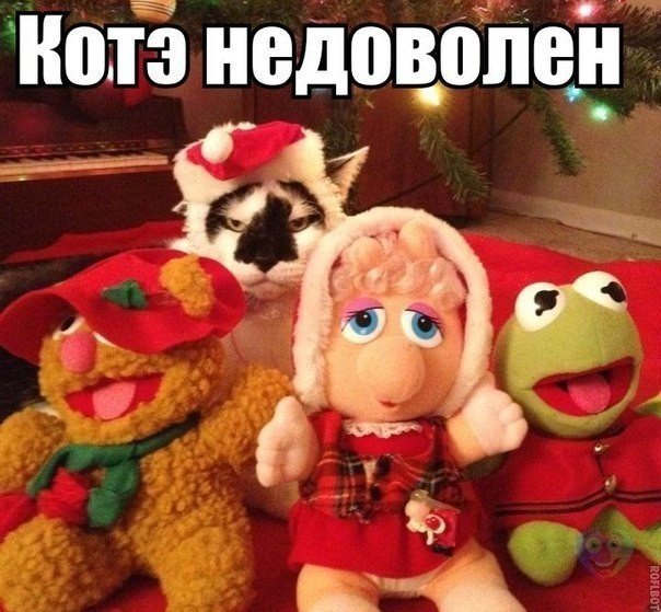 Так себе картинки 27.07.20