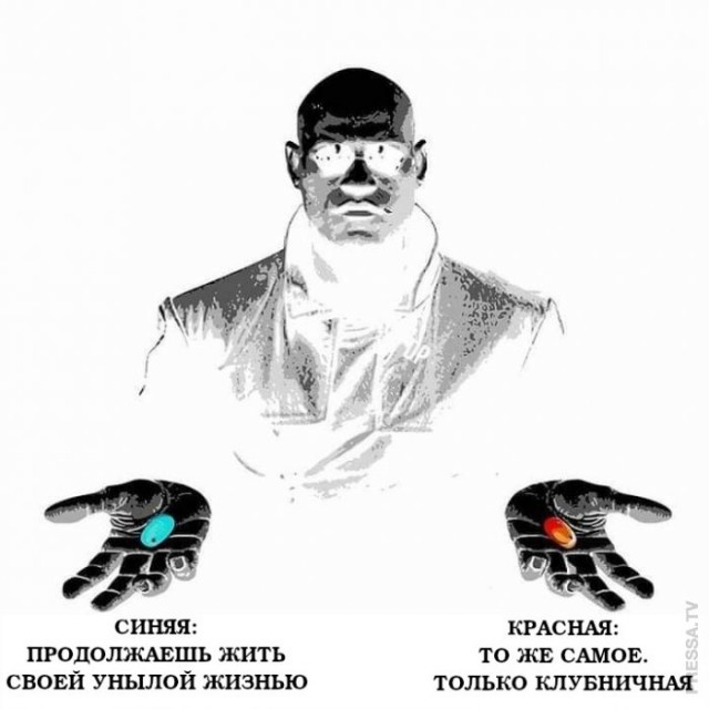 Картинки и мемы для настроения 008