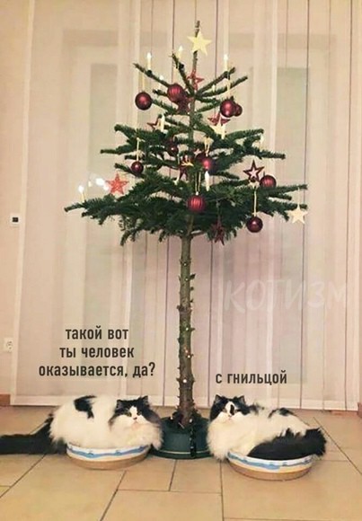 Миссия выполнена