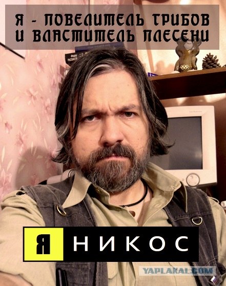 Фотожаба: Да грибам!