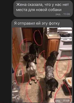 Картинки с надписями и всякие жизненные фразы 20.1.21