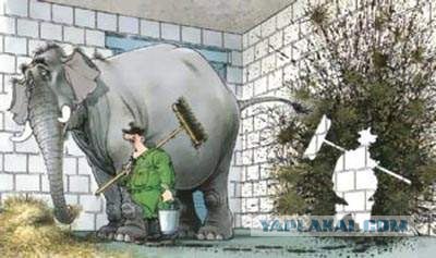 Рисунок одним выстрелом