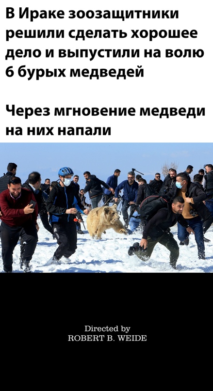 Весёлый полтишок 16.02
