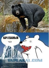 Странные гости столицы