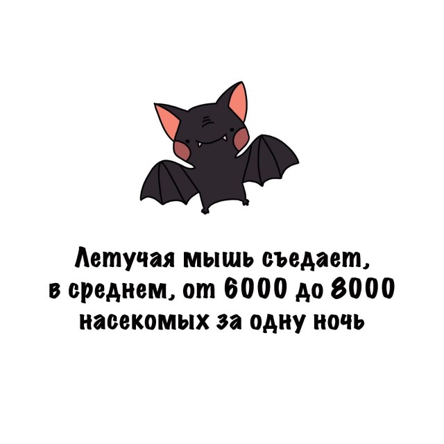 Картинки на субботу