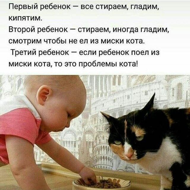 Фотки и картинки с текстом: юморные и красивые, забавные и милые 17.1121
