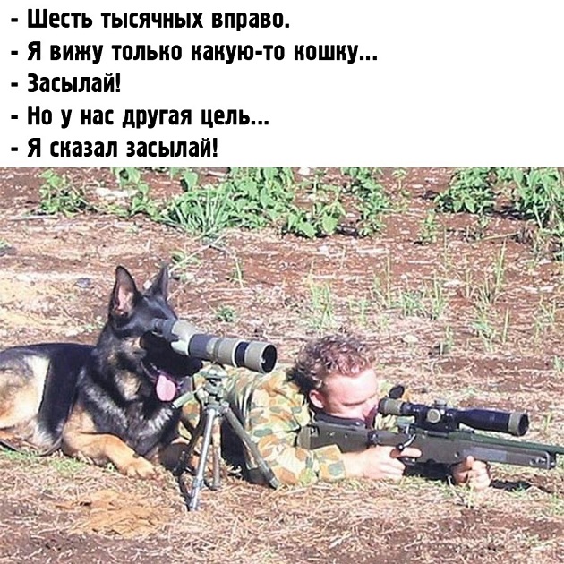 40 картинок разных 03.02.2022