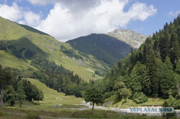 Лазаревское