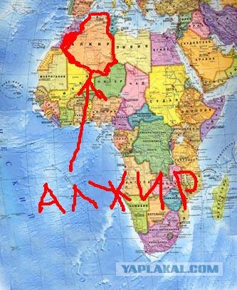 Общественный транспорт в Алжире