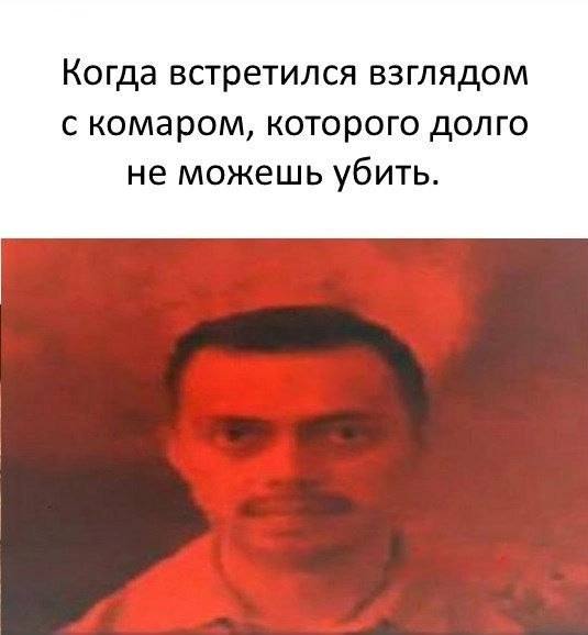 Китайские полицейские поймали вора благодаря убитому комару