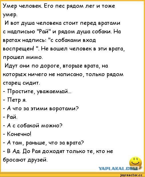 Пёс уже месяц ждёт хозяев, которые бросили его в пустующем бараке.