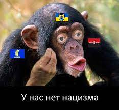 ВСУ сосредоточили более 60 тысяч человек на херсонском направлении