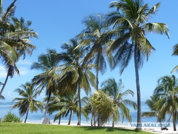 AFRICA - (Эфиопия,Кения,Танзация) 4-16 ноября 2011