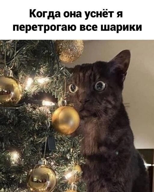 Юмор в картинках и без