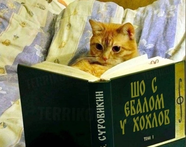 В Дании отказали украинцам в просьбе уволить из школы русскую учительницу