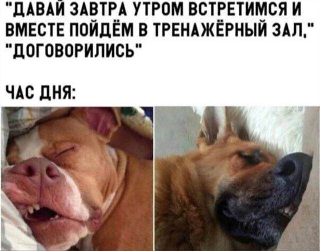 Немного картинок для настроения 07.03.2023