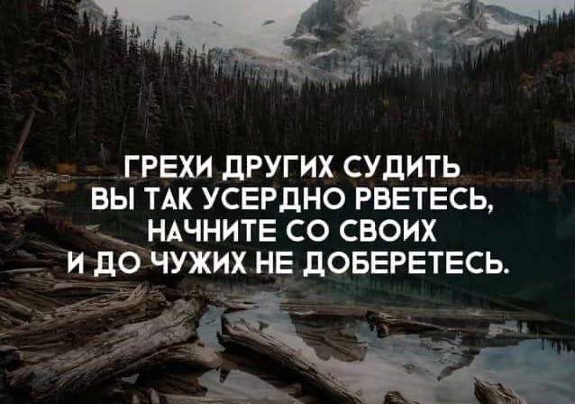 Мобильное приложение "Стукач"