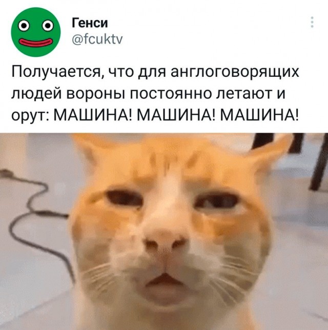Весёлый полтишок 18.04.23