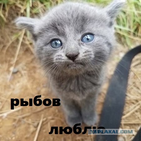 "Уехал на рыбалку, вместо рыб вернулся с этим"