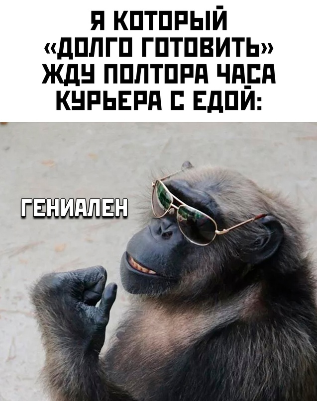 Весёлый полтишок 20.09.23