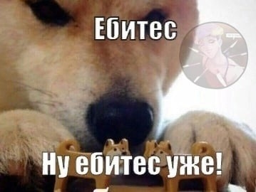 Не хотят жениться, заводят кошечек и живут