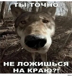 Придет серенький волчок, полная версия
