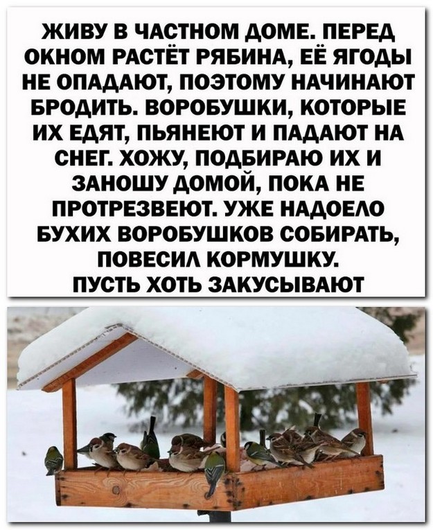 Анекдоты и шутЯПки с картинками