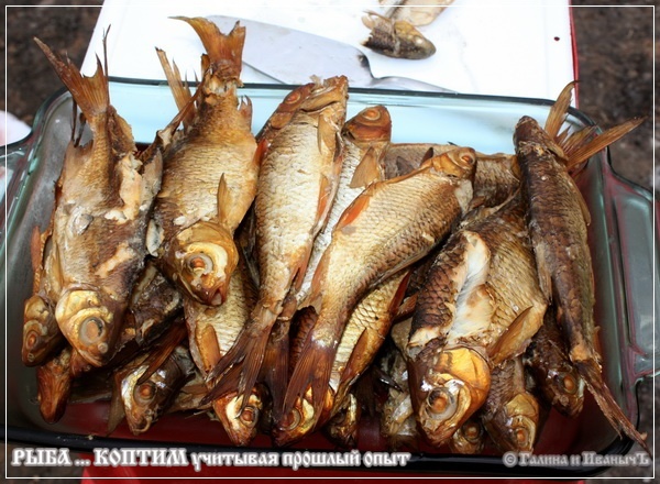 Копченая Рыба В Нижнем Новгороде Купить